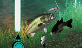 钓鱼人卷毛爆料视频下载,下载背后的故事