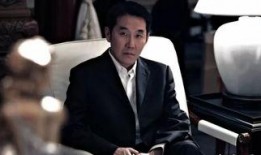 天涯爆料海岩陆毅视频,海岩陆毅视频引发热议，背后真相揭秘