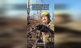 网红当兵爆料视频播放,视频播放量爆表引网友热议